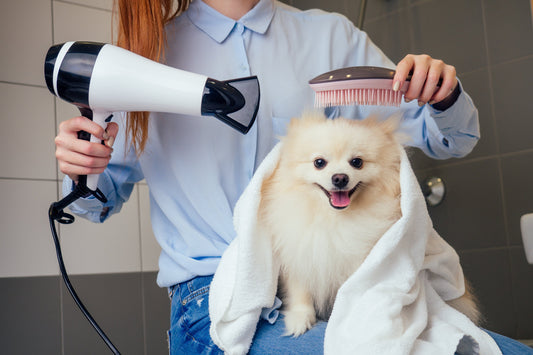 DIY Pet Grooming Spa Day at Home: A Step-by-Step Guide